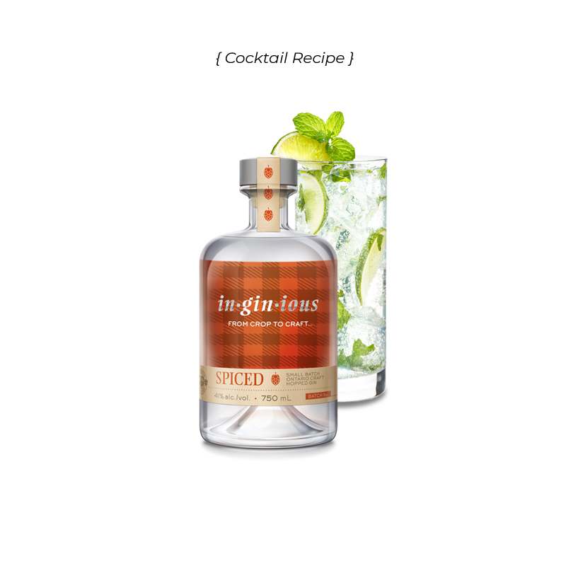 Inginious Spiced Hopped Gin