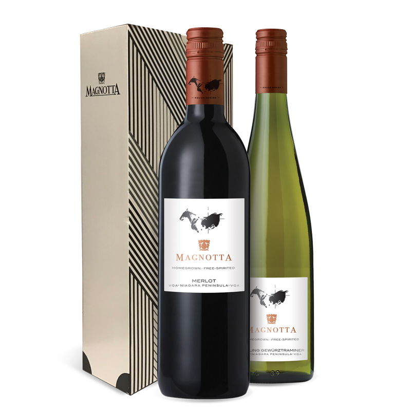 Gift Set Equus Series 1